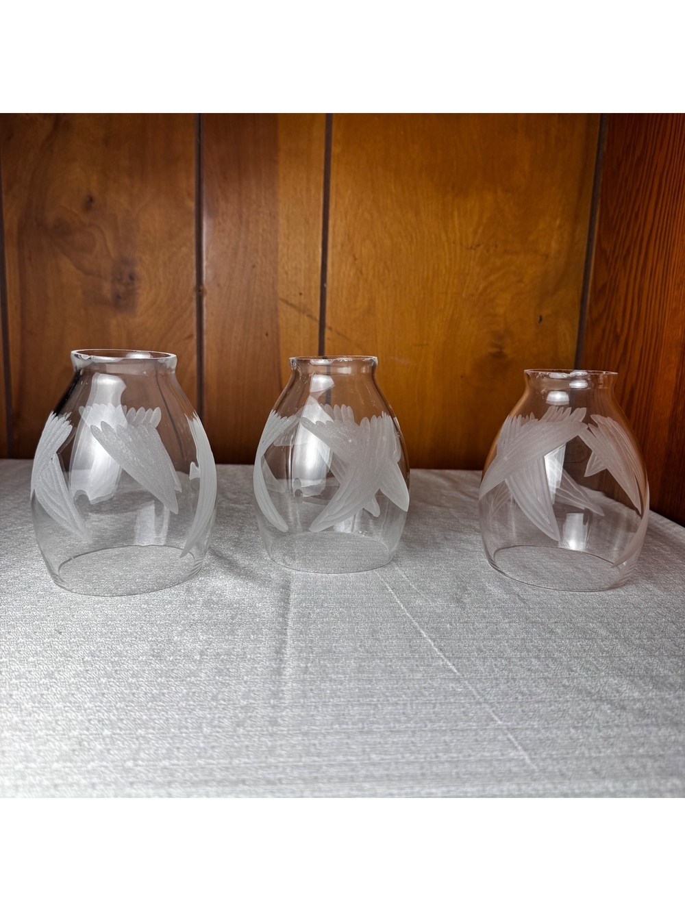 Set of 3 Windswept Crystal Glass Fan Shades 2.25 Fitter Frosted Etched Leaf